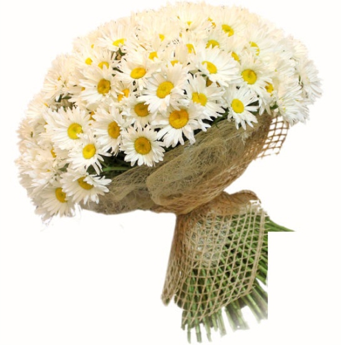 Букет 101 ромашка ― Floristik — доставка цветов по всей Украине