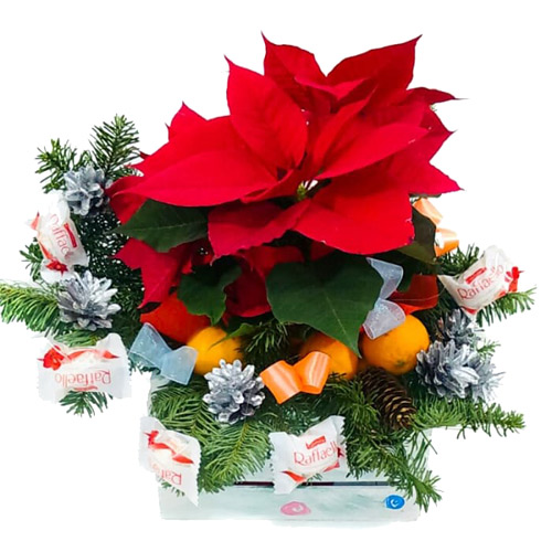 Набір з різдвяними квітами ― Floristik — доставка квітів по всій Україні