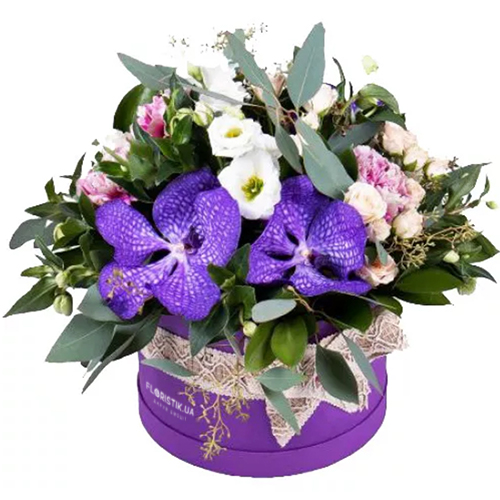 Коробка Ванда ― Floristik — доставка цветов по всей Украине