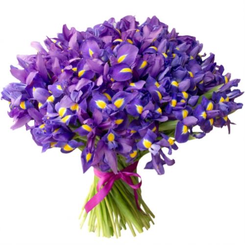 Букет Пурпур ― Floristik — доставка квітів по всій Україні