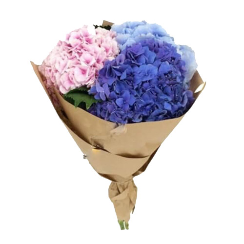 Букет гортензий ― Floristik — доставка цветов по всей Украине