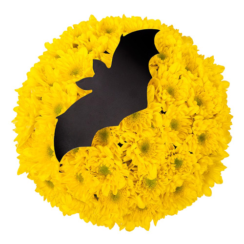 Букет Летучая мышь ― Floristik — доставка цветов по всей Украине