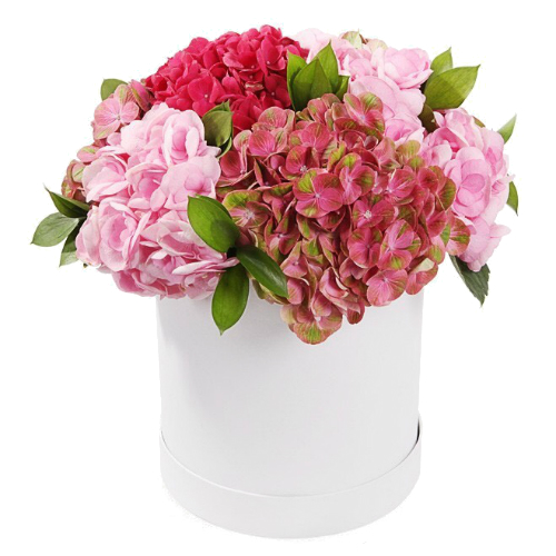 Коробка Бархатные гортензии ― Floristik — доставка цветов по всей Украине