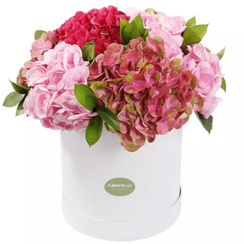 Коробка Оксамитові гортензії ― Floristik — доставка квітів по всій Україні