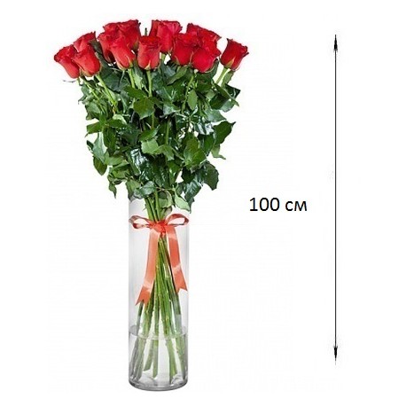 Роза еквадор 1 метр ― Floristik — доставка квітів по всій Україні