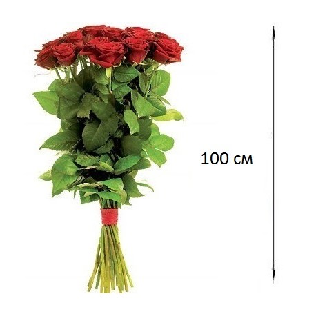 Роза українська 90-100см ― Floristik — доставка квітів по всій Україні