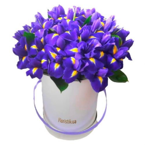 Ирисы в коробке  ― Floristik — flower delivery all over Ukraine