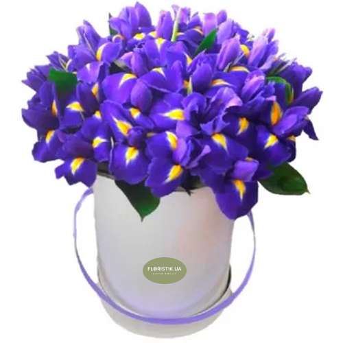Ирисы в коробке  ― Floristik — доставка цветов по всей Украине