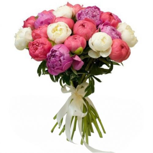 Букет 25 пионов ― Floristik — flower delivery all over Ukraine