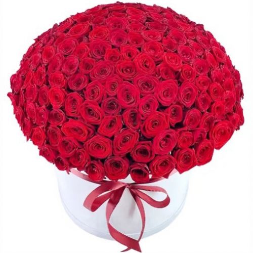 Коробка 101 червоної троянди ― Floristik — доставка квітів по всій Україні