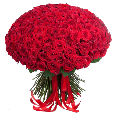 149 красных роз. Купить 149 красных роз в интернет-магазине Флористик