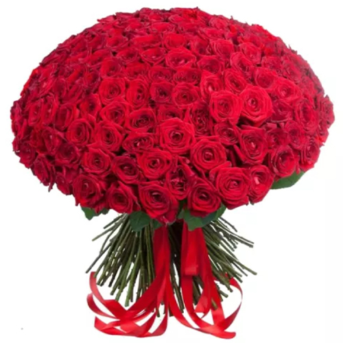 149 червоних троянд. Купити 149 червоних троянд у інтернет-магазині Флористик