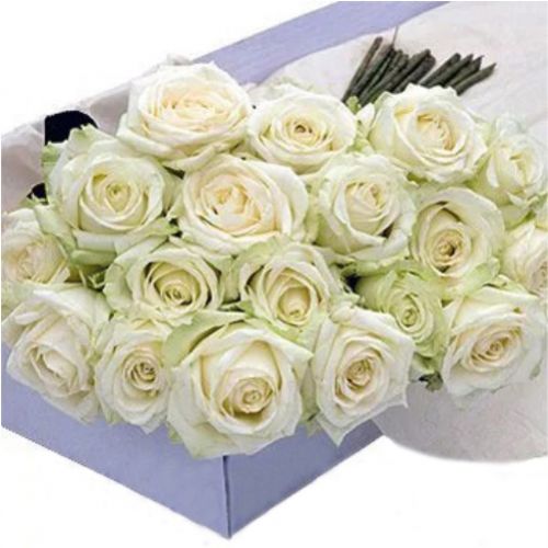 19 белых роз. Купить 19 белых роз в интернет-магазине Флористик