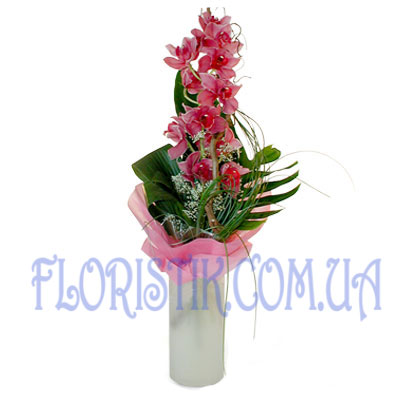Розовая орхидея. Купить Розовая орхидея в интернет-магазине Флористик